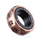 Antique bronze D12 magnetic decision ring with black bearing center on white.
